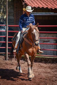 cowboylaarzen