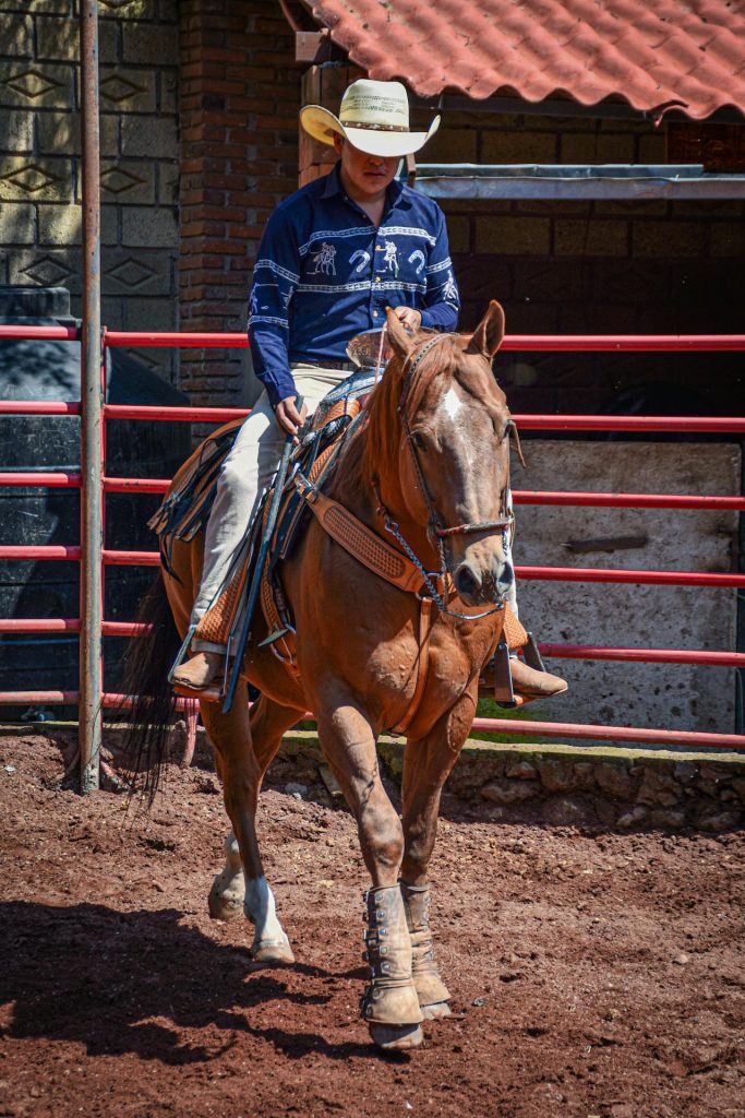 cowboylaarzen